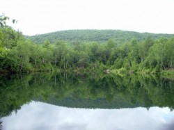 Walk to this quiet pond