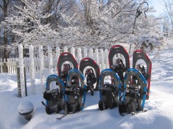 We provide 4 pairs of LLBean snowshoes We provide 4 pairs of LLBean snowshoes