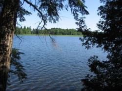 Lake behind island with marsh